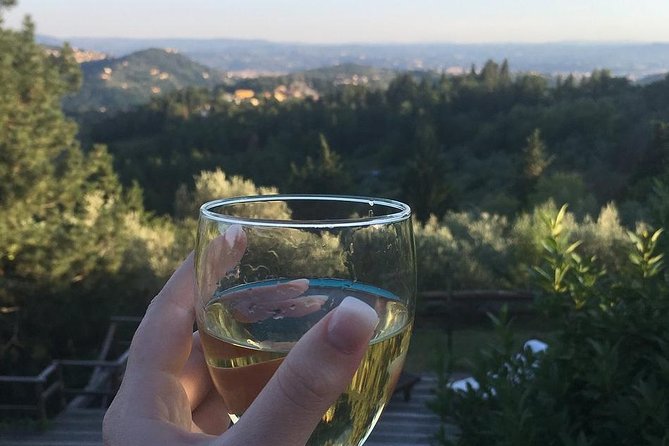 Private Cooking Class in a Florentine Villa With Transfer - Inclusions and Amenities