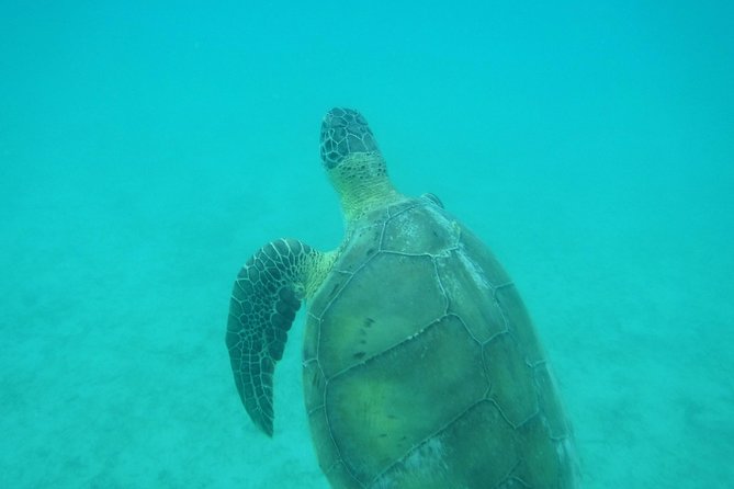 Private Day Sail & Snorkel With Virgin Islands Day Sailing, 6 Guest Max - Guest Reviews