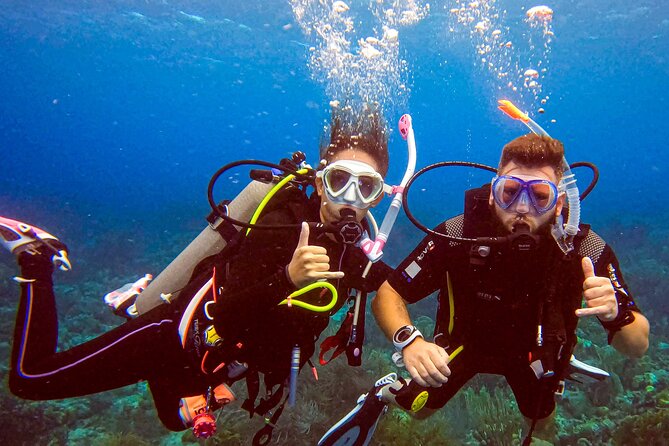 Private Discover Scuba Dive Experience in Curaçao - Local Tips and Recommendations