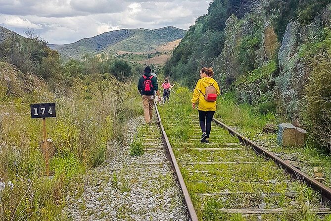 Private Douro and Porto 4x4 Tour With Wine Tasting and Boat Trip - Transportation Details