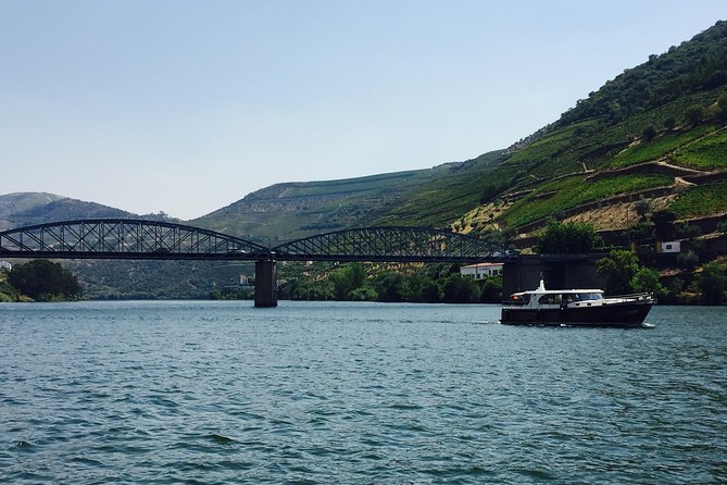 Private Douro Valley Food and Wine Tour From Porto - Winery Visits and Tastings