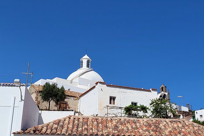 Private Excursion the Mountains of Gran Canaria for 2 to 4 People - Recommendations for Travelers