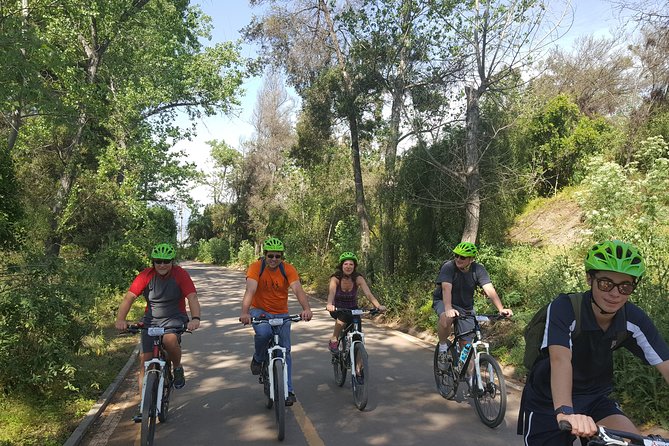 Private Full-Day Bike Tour of Santiago Cultural 5-6 Hrs - Customer Experiences