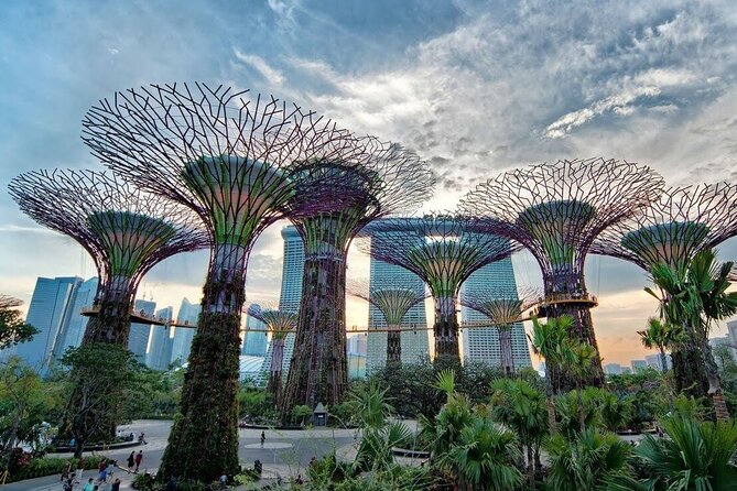 Private Full Day Singapore Highlights Tour - Tour Experience and Guide Quality