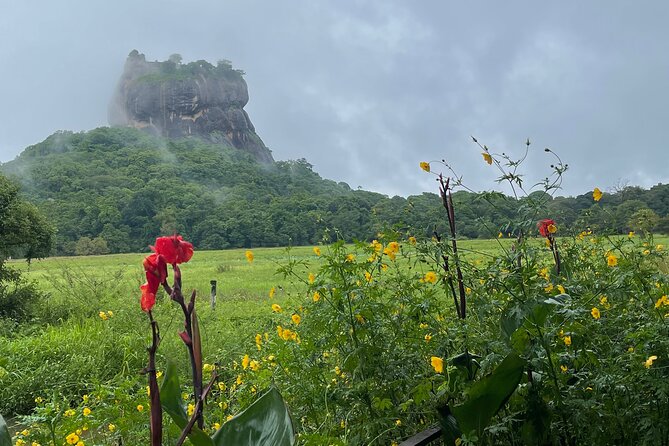 Private Full Day Tour Sigiriya and Dambulla From Kandy - Customer Reviews and Ratings