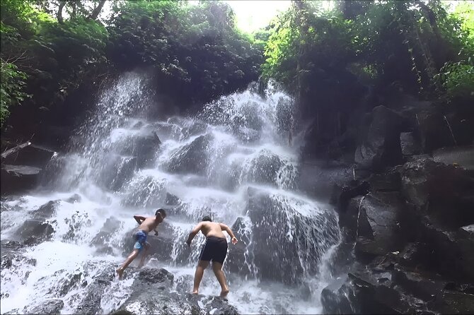 Private Full-Day Tour: The Beauty of Bali Waterfall Trip - Pricing Structure