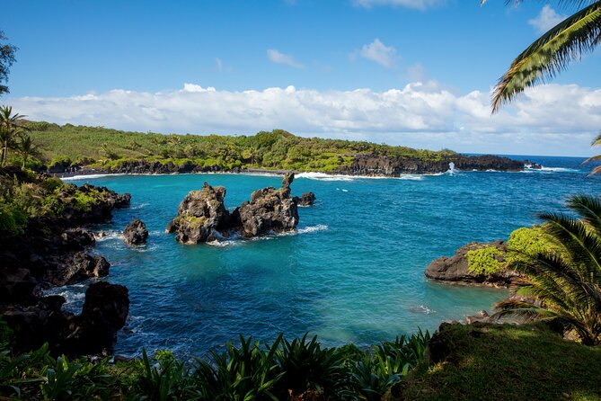 Private Full-Day Waterfall Beach and Jungle Tour of Maui - What to Expect on the Day