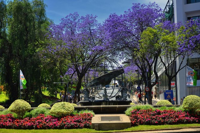 Private Funchal City Tour by Tukxi - Tour Duration and Pace