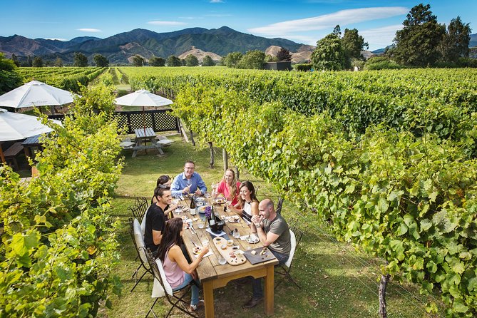 Private Gourmet Winemakers Tour - Picton Cruise Ship Excursion - Max 10 People - Customer Experience