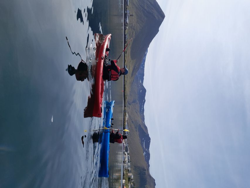 Private: Guided Kayak Tour in Siglufjörður / Siglufjordur. - Participant Restrictions