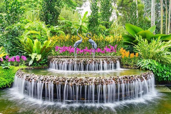 Private Half Day Singapore City Tour With Botanical Orchid Garden - Exclusions and Policies