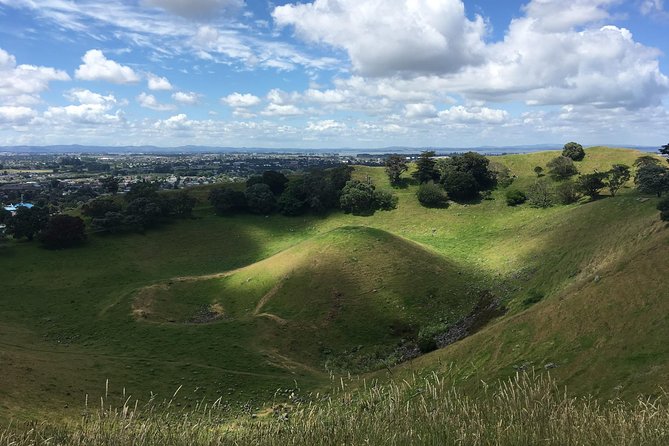 Private Half-Day Volcano Tour From Auckland - Local Insights