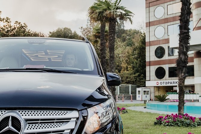 Private Istanbul Airport Transfer to Blue Mosque Sultan Ahmet - Accessibility and Additional Information