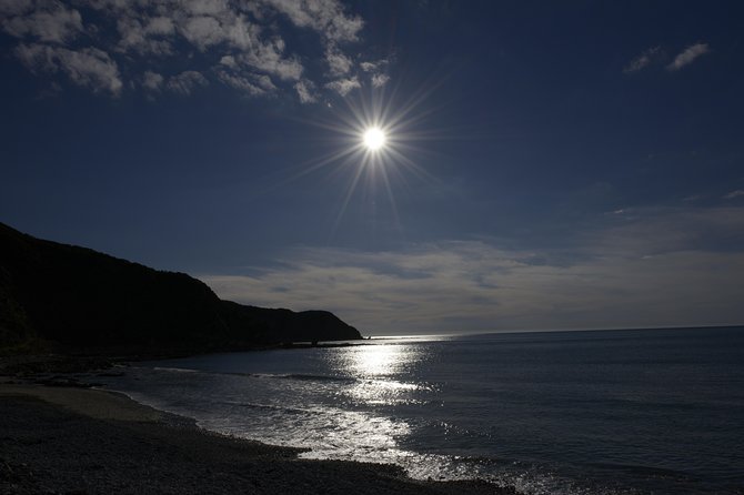 Private Kapiti Coast Full Day Tour - Guest Reviews