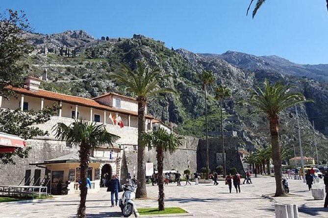 Private Kotor Walking Tour - Rick Steves Recommended - Customer Reviews and Feedback