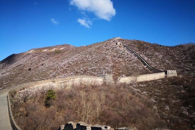 Private Layover Tour to Mutianyu Great Wall and Forbidden City - Conditions for Participation