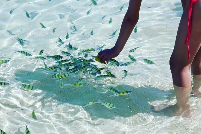 Private Longtail Boat Tour to Hong Islands - Traveler Reviews and Feedback