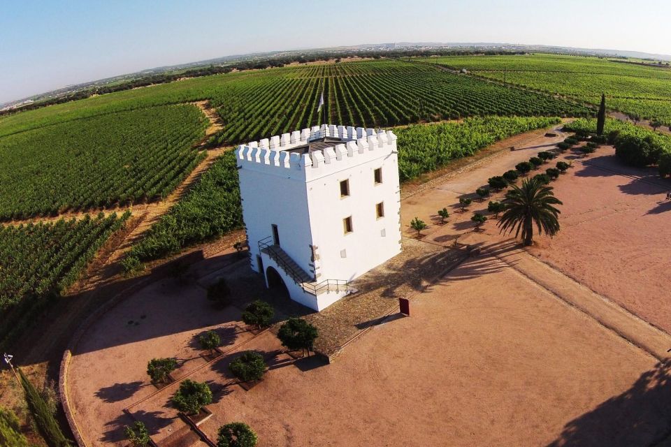 Private Luxury Wine & Food Tour in Alentejo - Transportation and Accessibility