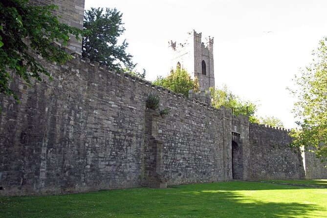 Private Medieval Walking Tour in Dublin - Meeting and End Points