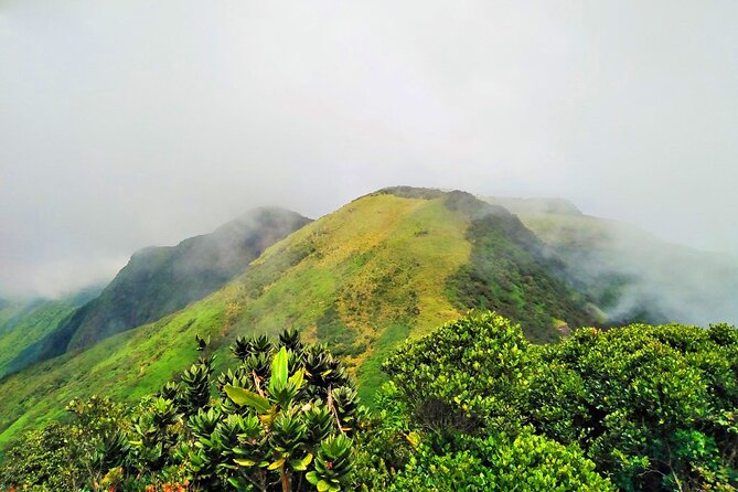 Private Multi-Day Sri Lanka Treks and Hikes Tour - Traveler Reviews and Testimonials