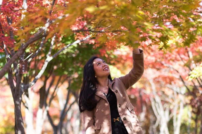 Private Nami Island Photo Shoot and Tour With a Photographer - What to Expect During the Tour