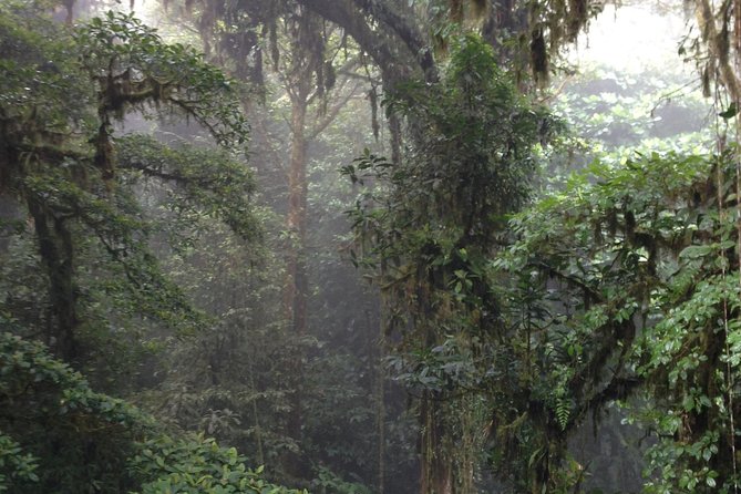 Private Natural History Walk by Pasión Costa Rica - Cancellation Policy