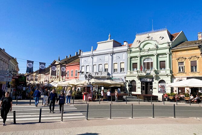 Private Novi Sad, Titanic Wine Tasting and Farmers House - Transportation and Pickup