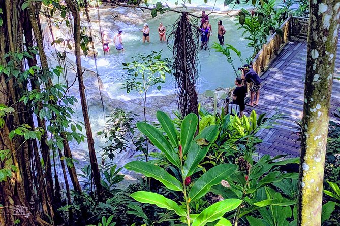 Private Ocho Rios Highlight Tour - Customer Experiences