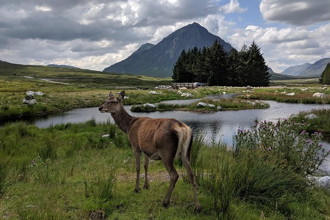 Private One Day Highlands Tour of Scotland - Inclusions