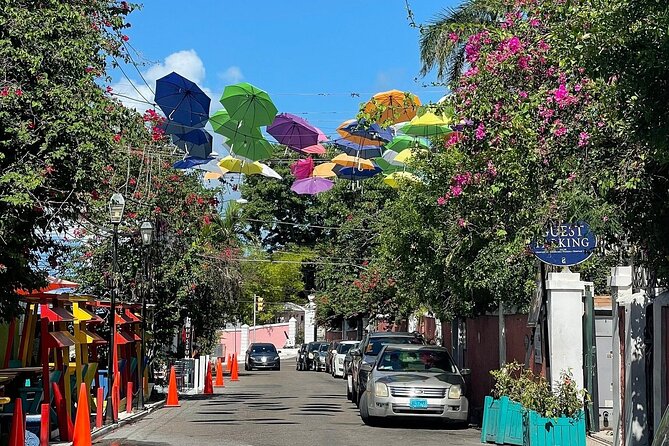 Private Pedicab Tour of Downtown Nassau Attractions - Scenic Routes and Attractions