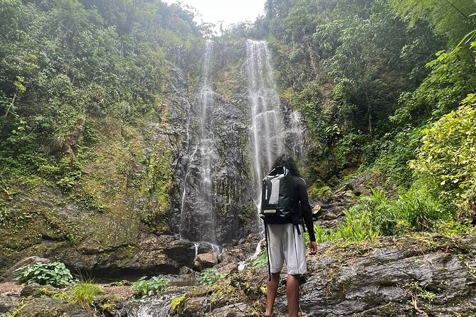 Private Rainforest Hike to Hidden Waterfall Tour With Transport - Important Participant Information