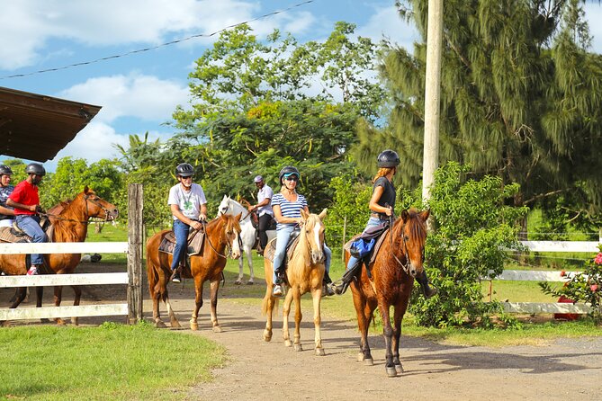 Private Ranch Horseback Tour in Carolina, Puerto Rico - Health and Safety Guidelines