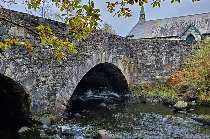 Private Ring of Kerry Highlights Tour From Cork, Car or Minibus - Guide and Driver Insights
