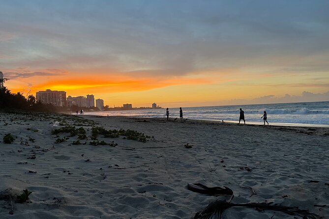 Private Romantic Beach Picnic at Sunset With Photos - Accessibility Features