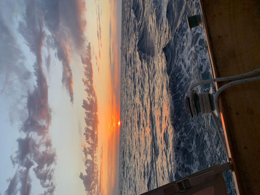 Private Sailing Trip Along Costa Del Sol - Benalmádena - Accessibility and Logistics