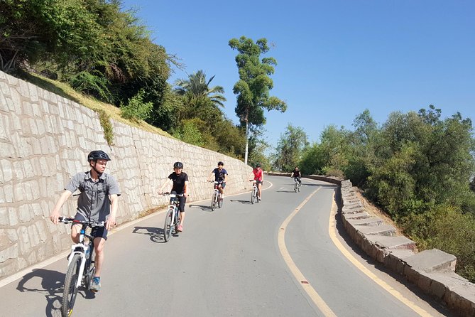 Private San Cristobal Hill & Metropolitan Park Santiago Bike Tour - Tips for a Great Experience