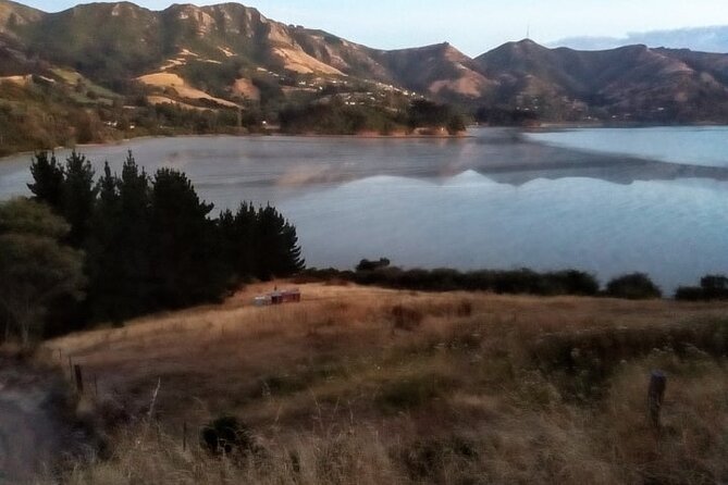 Private Scenic Christchurch/ Lyttelton /Port Hills Day Excursion - Booking Process