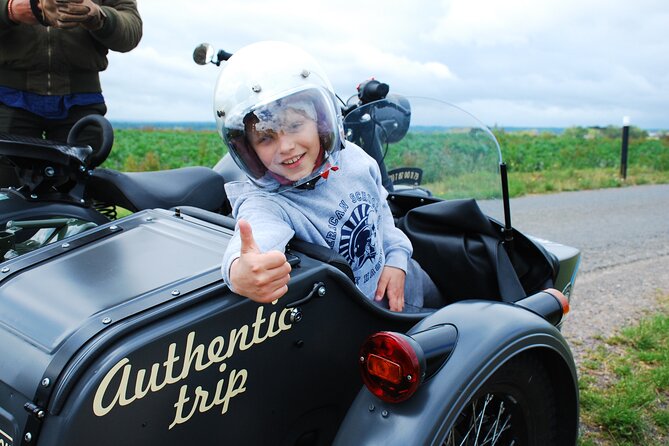 Private Sidecar Tour to the Landing Beaches - Sidecar Specifications
