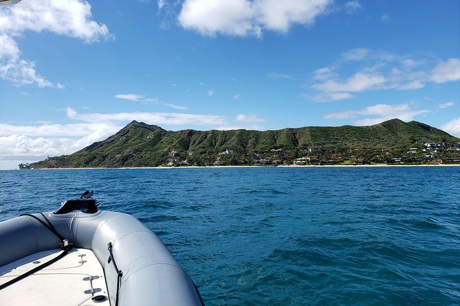 Private Snorkeling and Wildlife on The Adventure Boat - Pricing and Booking Information