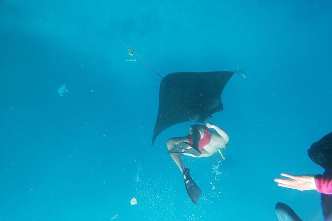 Private Snorkeling in Manta, Gamat & Crystal Bay at Nusa Penida - Pricing and Cancellation