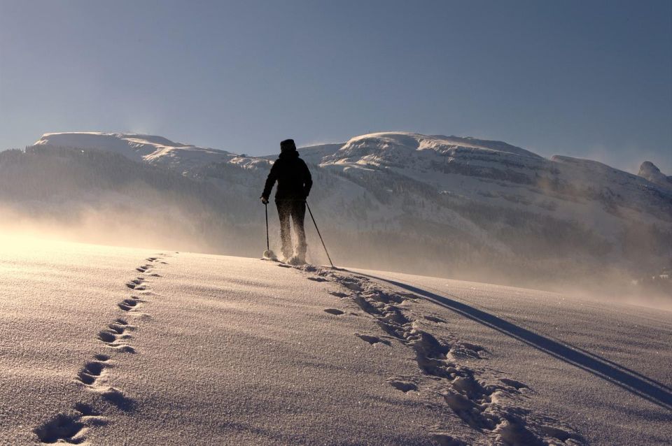 Private Snowshoeing Full Day - Meeting Points and Availability