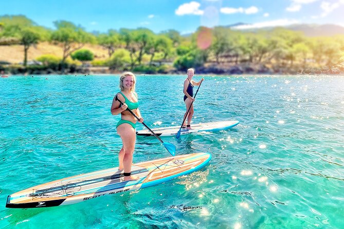 Private Stand Up Paddle Boarding Tour in Turtle Town, Maui - Tour Conditions and Requirements