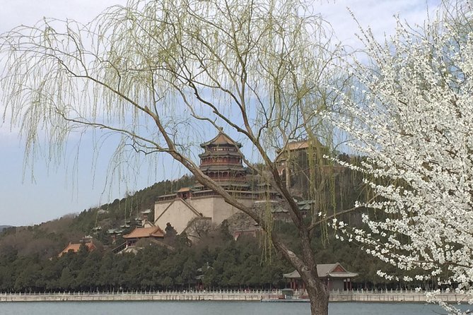 Private Summer Palace Walking Tour - Participant Experience and Feedback