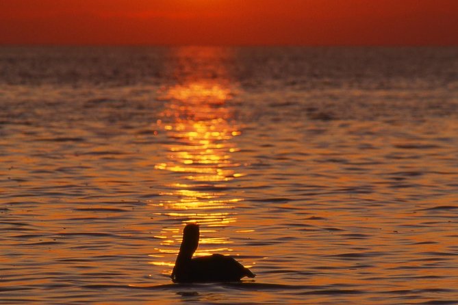 Private Sunset Cruise South Padre Island - Customer Reviews and Feedback