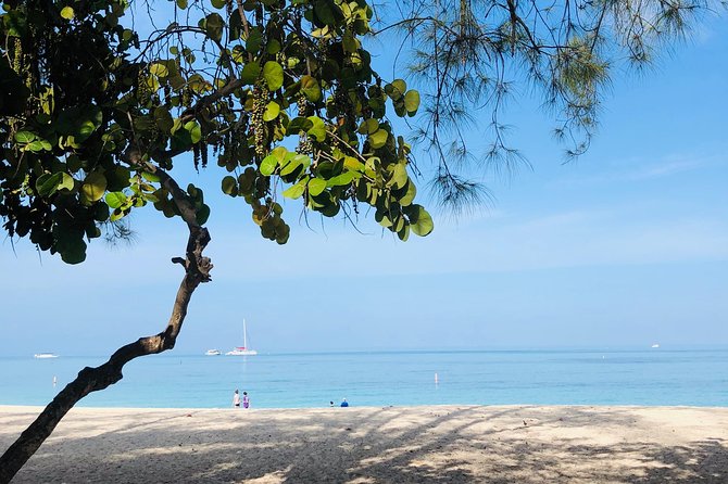 Private Swim Lesson or Triathlon Training on Seven Mile Beach! - Meeting Logistics and Accessibility