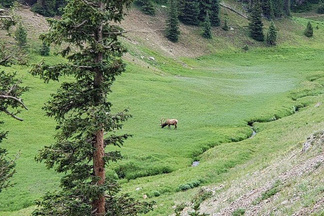 Private Three Hour Afternoon Custom Tour of Rocky Mountain National Park - Cancellation and Flexibility Policies