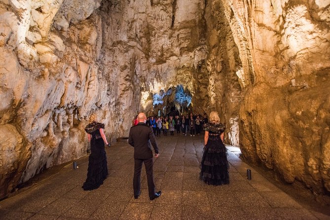 Private Tour [2 Days]: Auckland to Waitomo Caves, Rotorua, Te Puia & Wai-O-Tapu - Meals Included