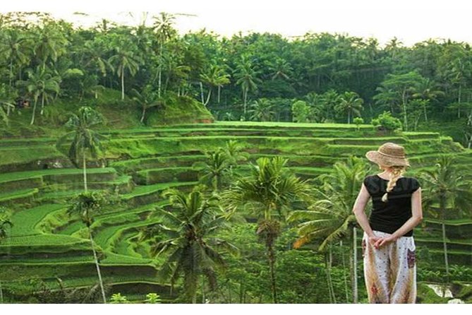 Private Tour: Campuhan Ridge Walk, Ubud Rice Terrace & Ubud Palace - Pickup Locations