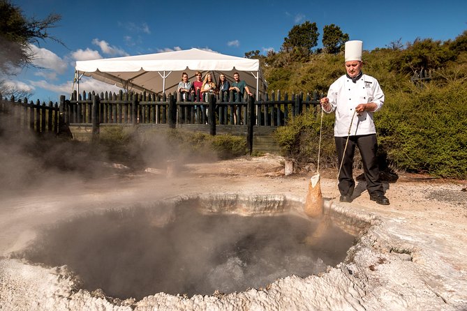 Private Tour From Auckland to Rotorua & Waitomo Glowworm Caves, Small Group - Customer Reviews