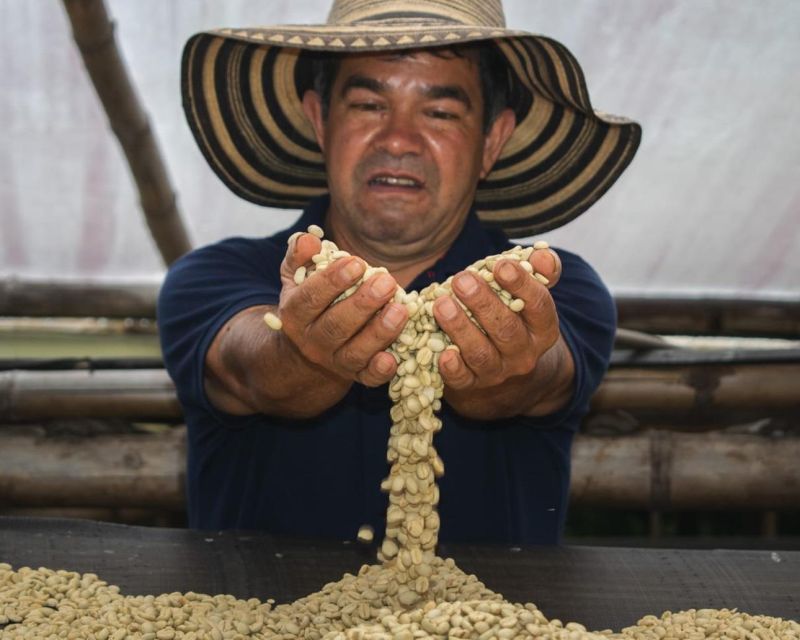 Private Tour in an Authentic, Ecological Local Coffee Finca - Inclusions and Benefits